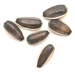 Image showing raw sunflower seeds