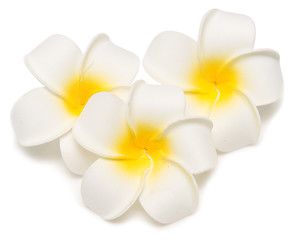 Image showing three frangipani flowers