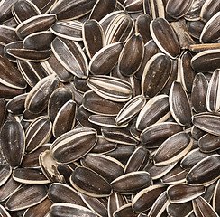 Image showing raw sunflower seeds