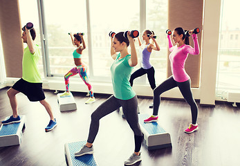 Image showing group of people with dumbbells and steppers