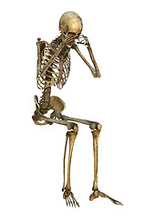 Image showing 3D Illustration Human Skeleton on White