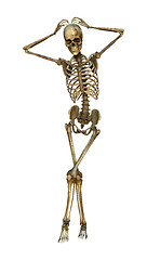 Image showing 3D Illustration Human Skeleton on White