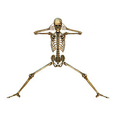 Image showing 3D Illustration Human Skeleton on White