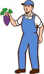 Image showing Organic Farmer Boy Grapes Standing Retro