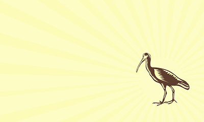 Image showing Business card Egret Heron Crane Side Woodcut