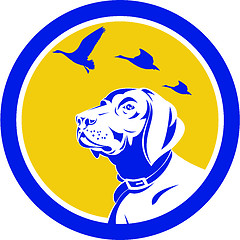 Image showing English Pointer Dog Head Looking Up Circle Retro