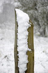 Image showing Snowy pole