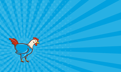 Image showing Business card Chicken Rooster Side Cartoon