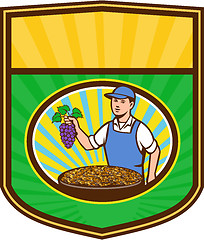 Image showing Organic Farmer Boy Grapes Raisins Crest Retro