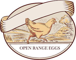 Image showing Hen Running Open Range Eggs Oval Drawing