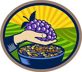 Image showing Hand Holding Grapes Raisins Oval Woodcut