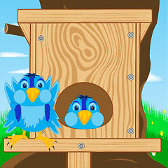 Image showing Bird sparrow and bird house