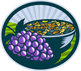 Image showing Grapes Raisins Bowl Oval Woodcut