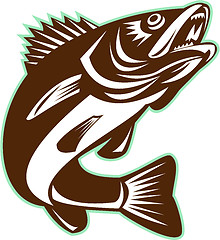 Image showing Walleye Fish Jumping Isolated Retro