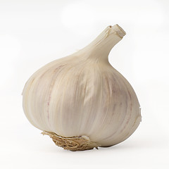 Image showing Garlic