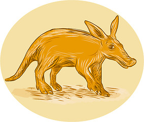 Image showing Aardvark African Ant Bear Drawing