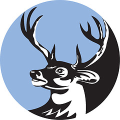 Image showing Whitetail Deer Buck Head Circle Retro