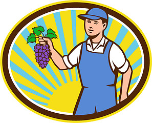 Image showing Organic Farmer Boy Holding Grapes Oval Retro