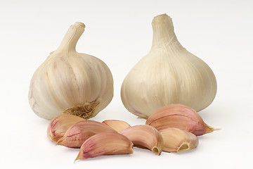 Image showing Garlic