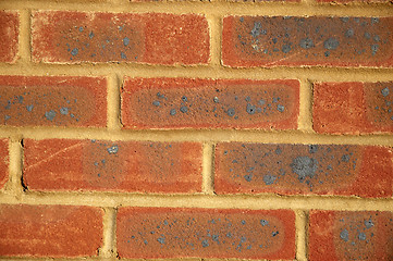 Image showing New brick wall