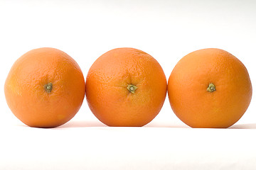 Image showing Oranges