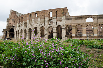 Image showing Spring at Colosseum, Rome