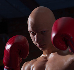 Image showing fighter in red gloves