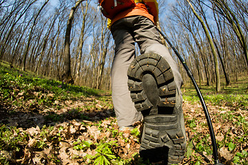 Image showing Male hiker looking to the side walking in forest