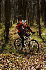 Image showing Rider in action at Freestyle Mountain Bike Session