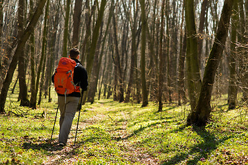 Image showing Male hiker looking to the side walking in forest