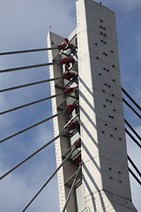 Image showing pylon cable-stayed bridge
