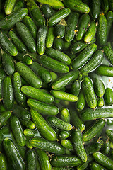 Image showing gurtsov conservation. Fresh cucumbers in jars