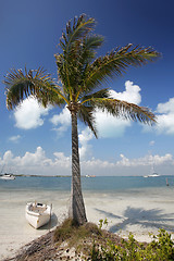 Image showing Caribbean Coast