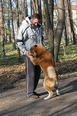 Image showing Man and joyful dog in public park