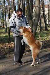 Image showing Man and joyful dog in public park