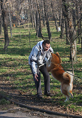 Image showing Man and joyful dog in public park