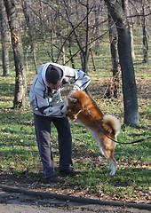 Image showing Man and joyful dog in public park