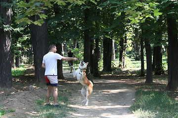 Image showing Man playing with his dog