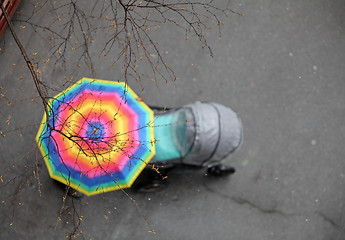 Image showing Baby strollers and umbrella