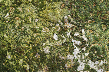 Image showing ancient masonry overgrown with moss