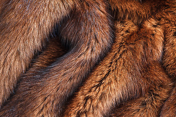 Image showing natural fur closeup