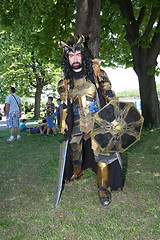 Image showing Armoured medieval warrior