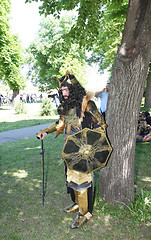 Image showing Armoured medieval warrior