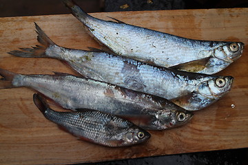 Image showing  raw fish on a cutting table