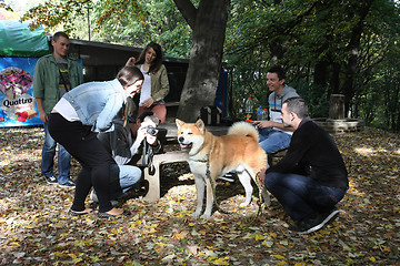 Image showing Dog surrounded by young people