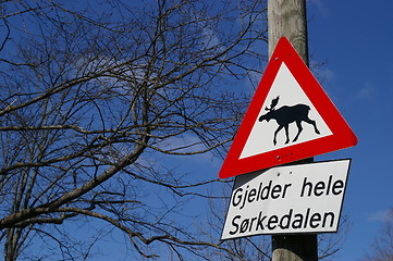 Image showing Danger elk sign in Norway