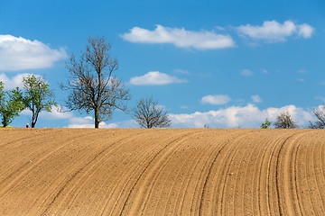 Image showing Beautiful summer rural landscape