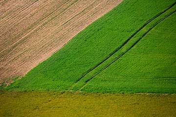 Image showing Beautiful summer rural landscape lines