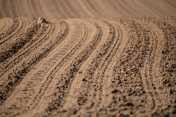 Image showing Beautiful summer rural landscape lines