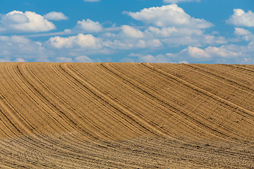 Image showing Beautiful summer rural landscape